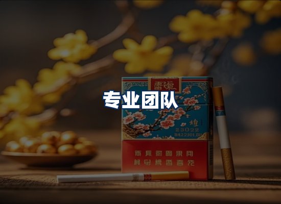 专业团队
